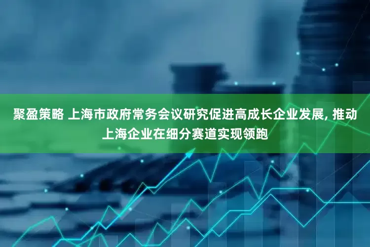 聚盈策略 上海市政府常务会议研究促进高成长企业发展, 推动上海企业在细分赛道实现领跑