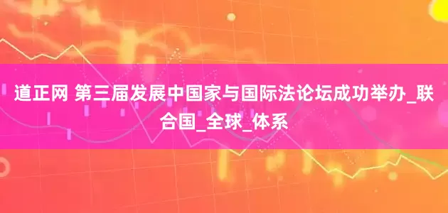 道正网 第三届发展中国家与国际法论坛成功举办_联合国_全球_体系