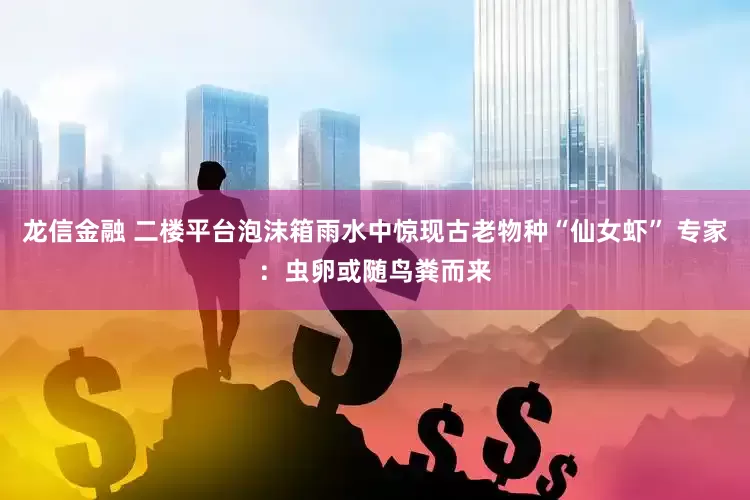 龙信金融 二楼平台泡沫箱雨水中惊现古老物种“仙女虾” 专家：虫卵或随鸟粪而来