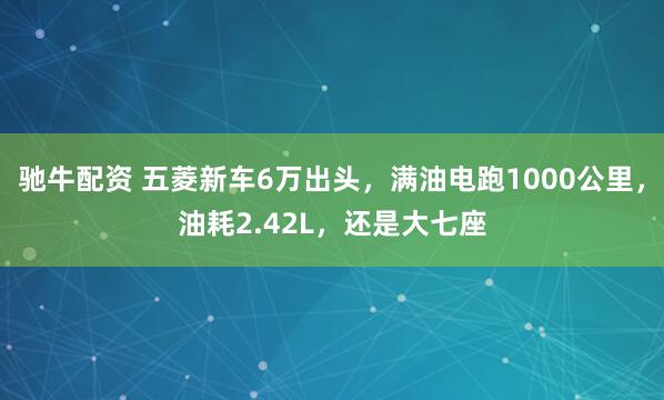 驰牛配资 五菱新车6万出头，满油电跑1000公里，油耗2.42L，还是大七座