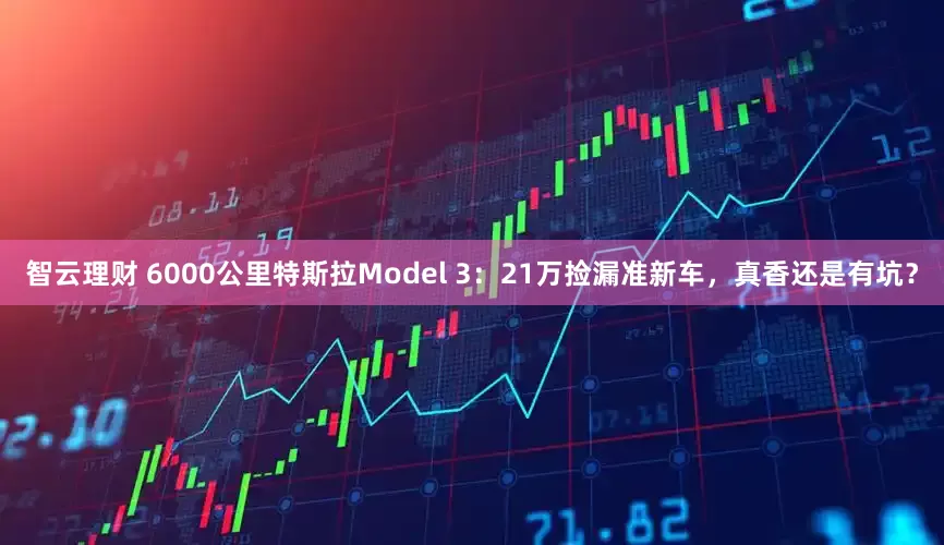智云理财 6000公里特斯拉Model 3：21万捡漏准新车，真香还是有坑？