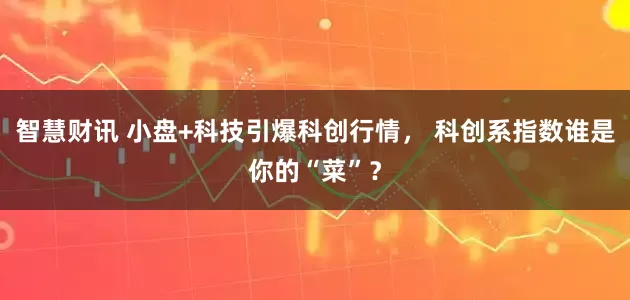 智慧财讯 小盘+科技引爆科创行情， 科创系指数谁是你的“菜”？