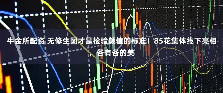 牛金所配资 无修生图才是检验颜值的标准！85花集体线下亮相，各有各的美